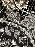 W.モリス　ベルベットプリントコレクション"Honeysuckle&Tulip Velvet236938 133cmx1m以上10cm単位でカット販売　(海外取寄せ)