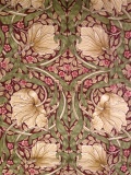 Pimpernel491