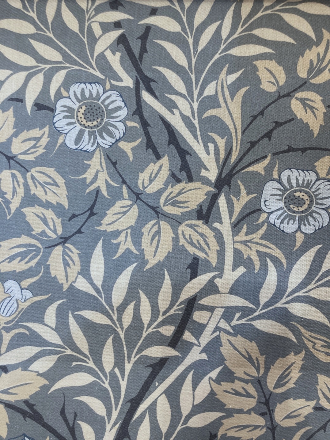 Sweet Briar227241(海外取り寄せ） 140cmx60cmカットクロス　会員登録+２枚以上でさらに5%OFF!