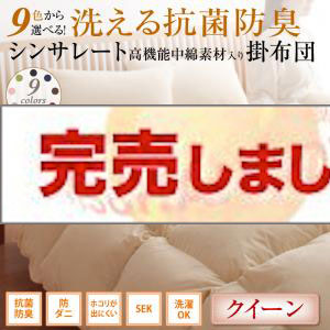9色から選べる！洗える抗菌防臭　シンサレート高機能中綿素材入り掛け布団 クイーン