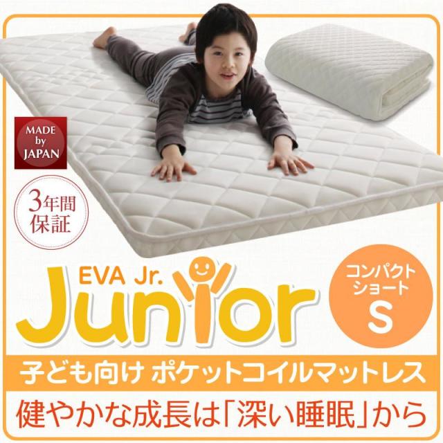 薄型・軽量・高通気 【EVA】 エヴァ ジュニア ポケットコイル シングル ショート丈