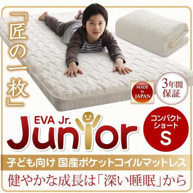抗菌・薄型・軽量 【EVA】 エヴァ ジュニア 国産ポケットコイル シングル ショート丈