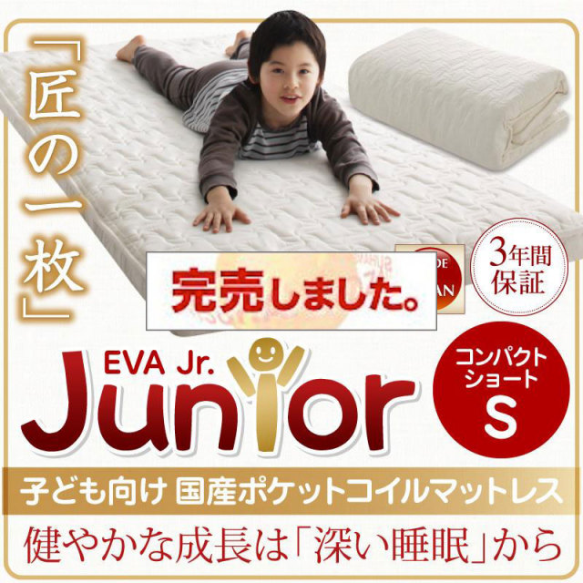 抗菌・薄型・軽量 【EVA】 エヴァ ジュニア 国産ポケットコイル シングル ショート丈