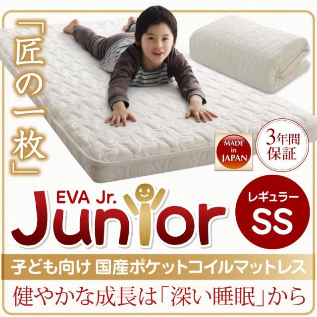 抗菌・薄型・軽量 【EVA】 エヴァ ジュニア 国産ポケットコイル セミシングル レギュラー丈
