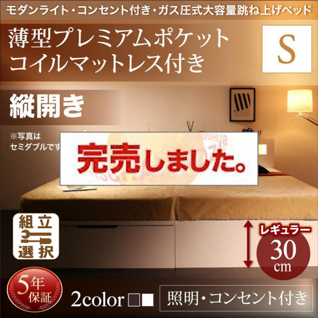 照明・コンセント付き 跳ね上げベッド 薄型プレミアムポケットマットレス付 縦開き シングル 深さレギュラー