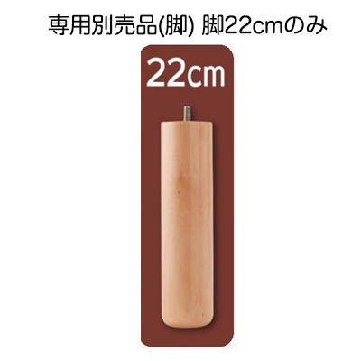 搬入・組立・簡単 ショート丈脚付きマットレス ボトムベッド 専用別売品(脚)  脚22cm
