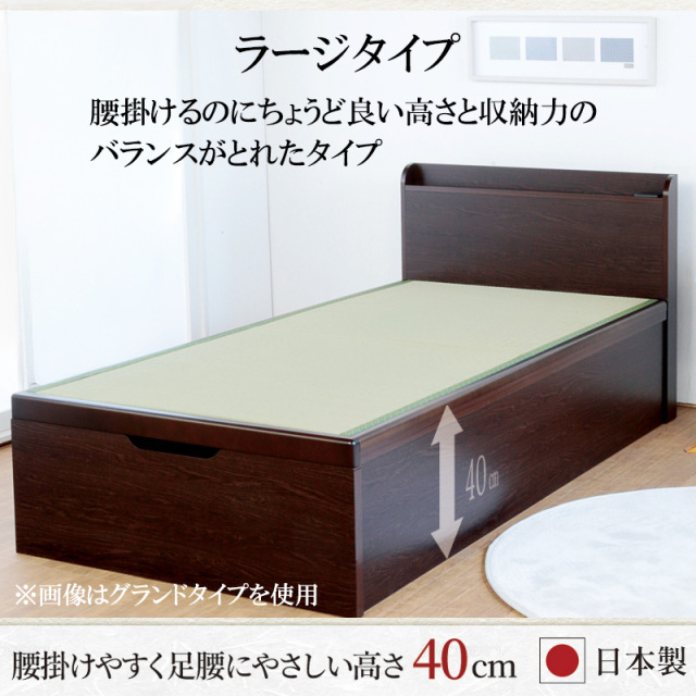 ラージタイプ