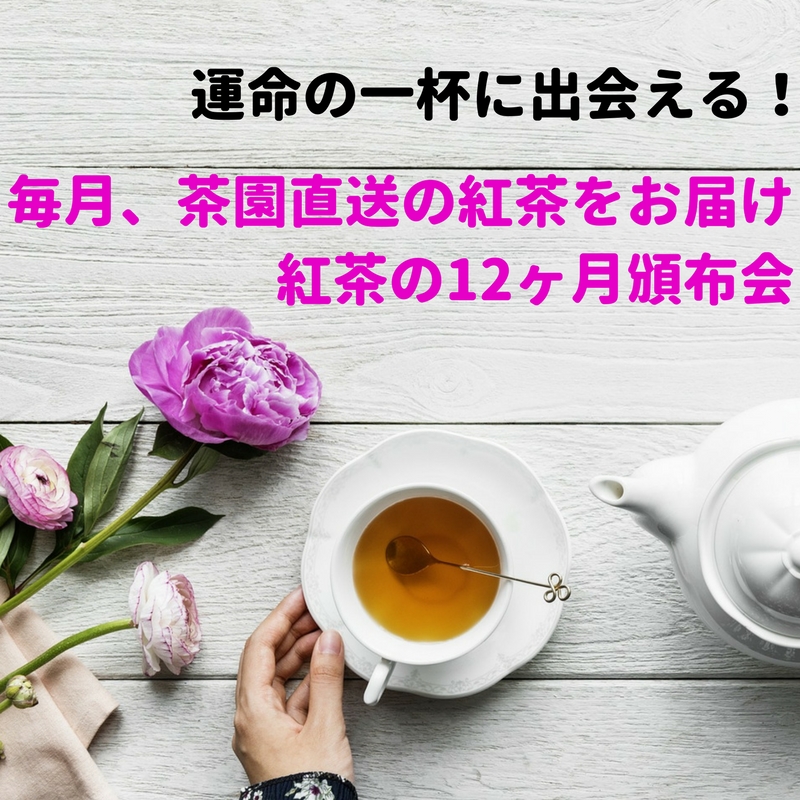 【毎月届く】紅茶の12ヶ月頒布会　(2024年度3月末発送開始）　2024.3.22申し込みまで