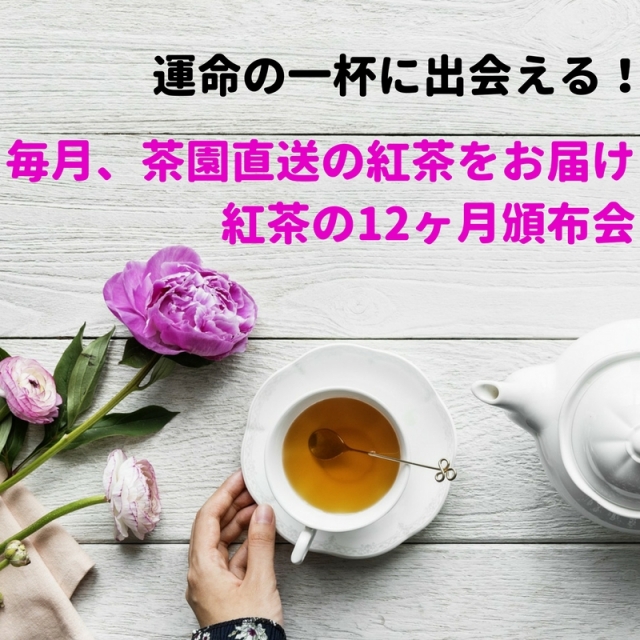 【二か月に一回届く】紅茶の12ヶ月頒布会 (2026年度2月末発送開始) 2026.2.20申し込みまで