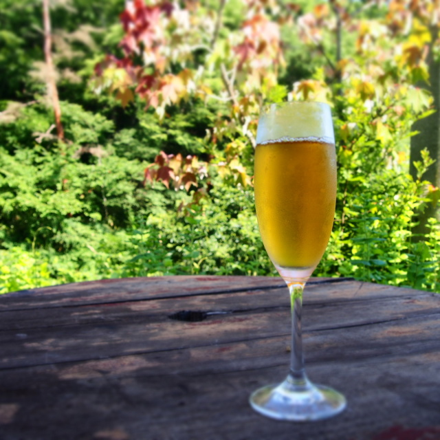 【DM便で送料無料!】アイスティーブレンド ダージリン 5g×5個