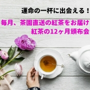 【二か月に一回届く】紅茶の12ヶ月頒布会　(2026年度2月末発送開始）　2026.2.20申し込みまで