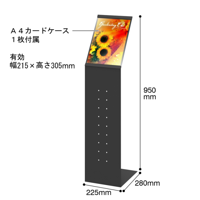 SP 本気で立てるステージ 智 サイン SP 本気で立てるステージ 智
