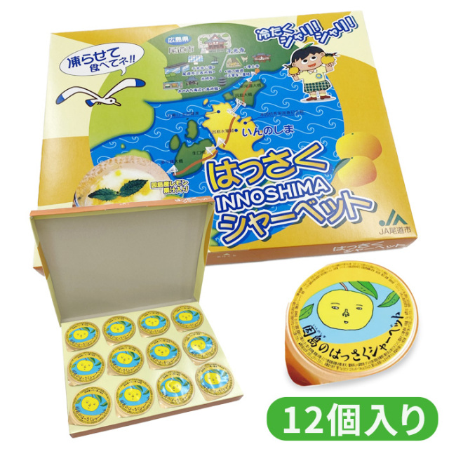 はっさくシャーベット 12個入り