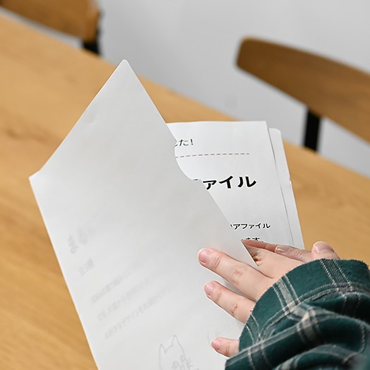 片面が半透明で見やすい【まるにゃんまみれ】クリアファイル1枚