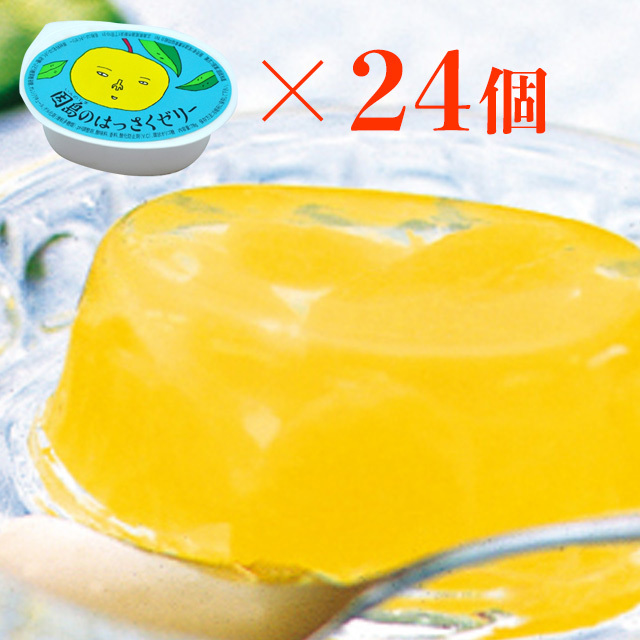 はっさくゼリー 24個入