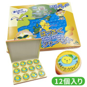 はっさくシャーベット 12個入り