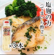塩麹の力3本Top