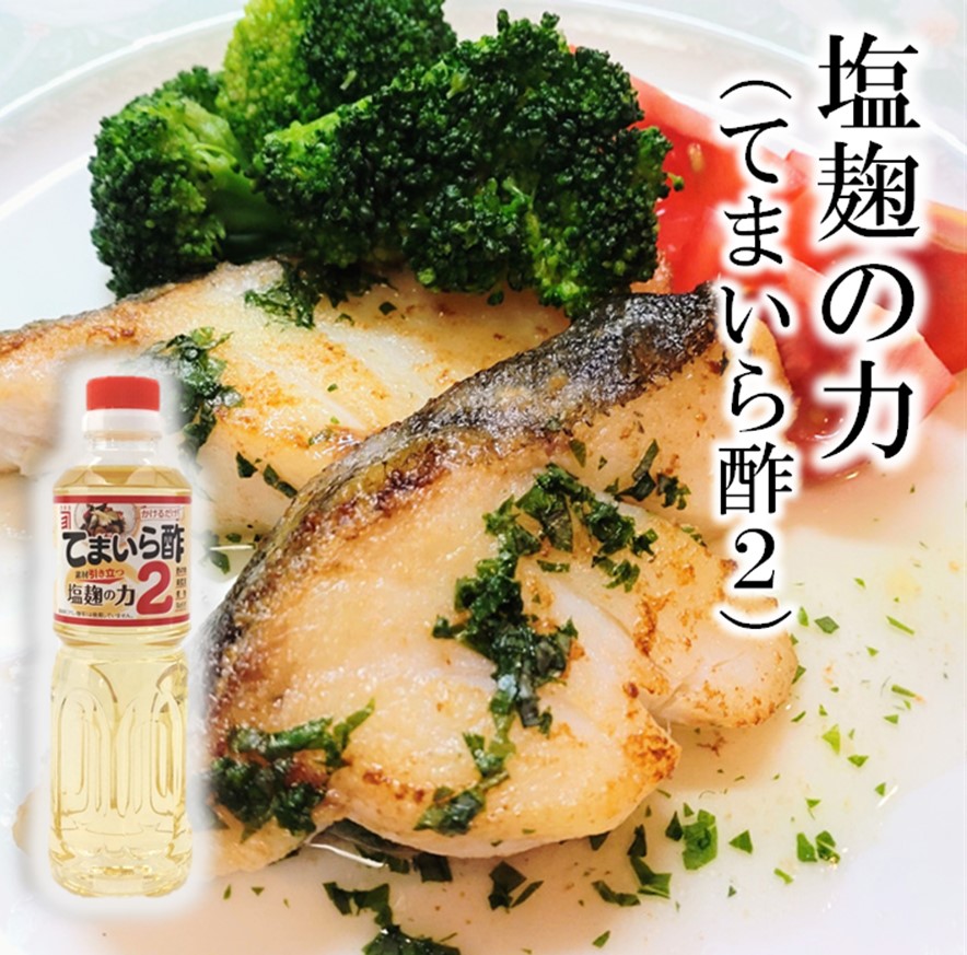 塩麹の力トップ