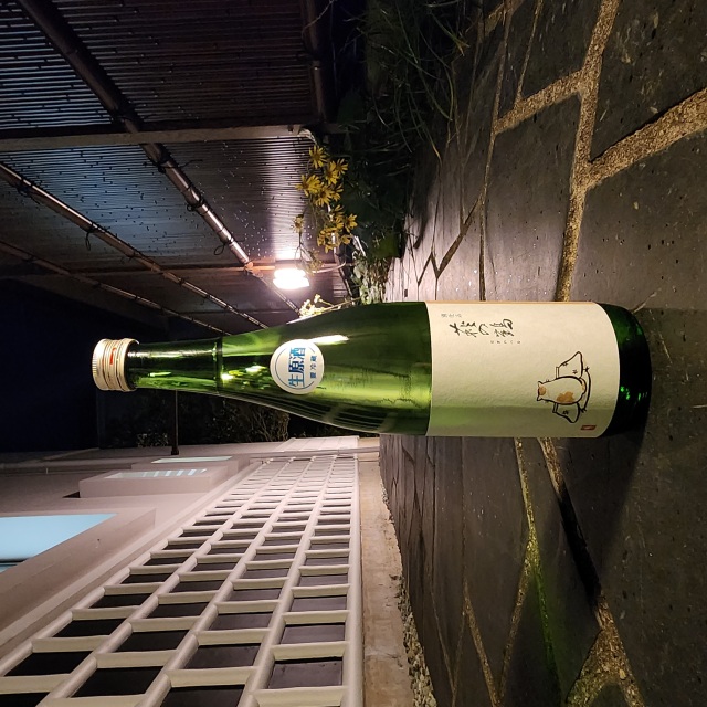 【新酒】萩の鶴 　別仕込　こたつ猫　生原酒～華やかな香りとジューシーな甘み　