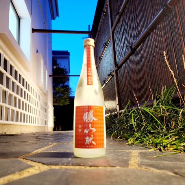 【新酒】勝山 献 本生～優しい味わいに感動。IWC世界一に輝いた日本酒の袋搾りのできたて新酒～