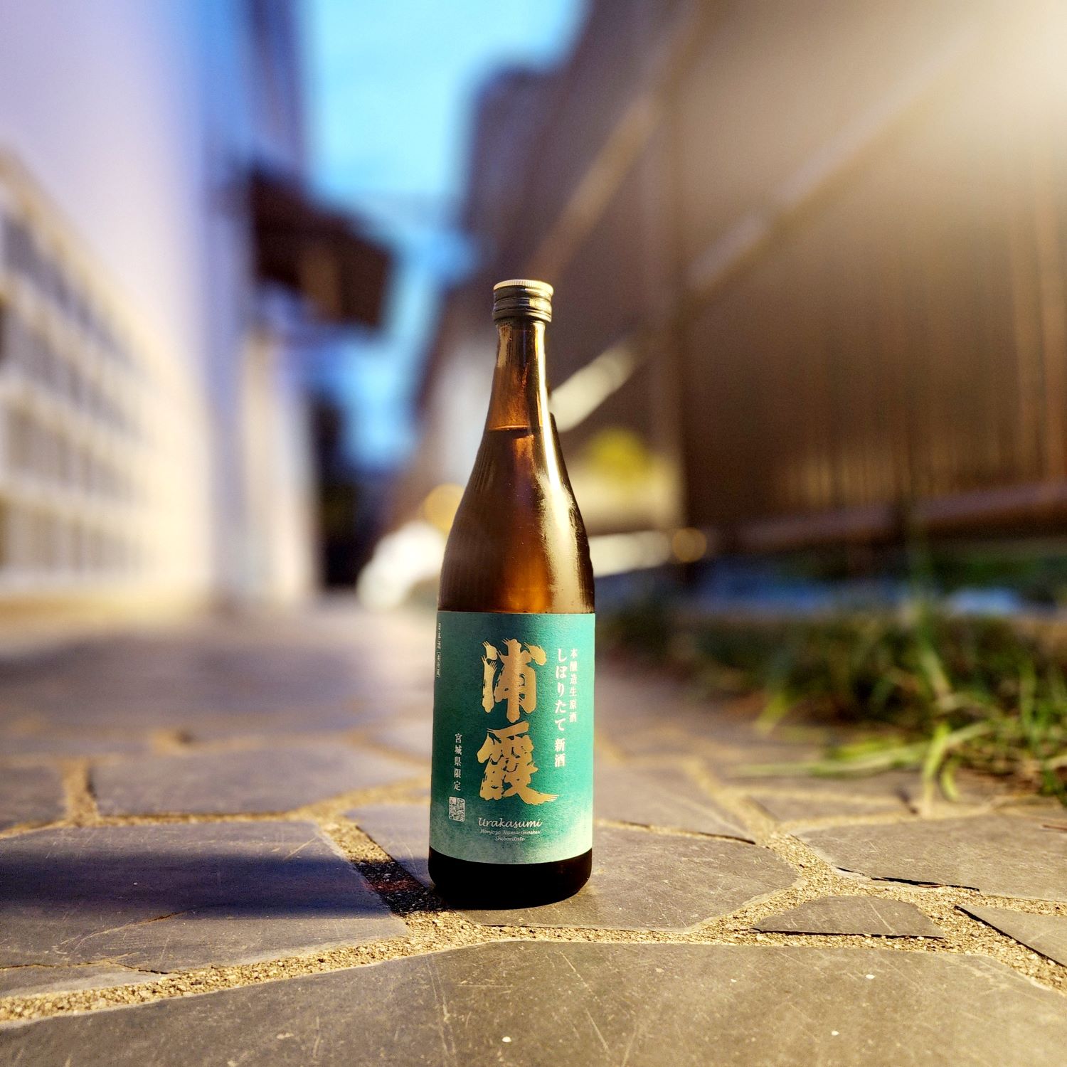 【新酒しぼりたて】浦霞 本醸造生原酒 しぼりたて～宮城県限定。今年も旨味と爽やかさのバランスが良い