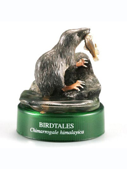 海洋堂 森と清流 BIRDTALES 2 カワネズミ