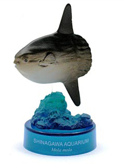 海洋堂 日本水族館立体生物図録 アクア・トトぎふVer. マンボウ