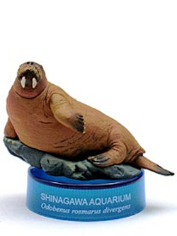 海洋堂 日本水族館立体生物図録 アクア・トトぎふVer. セイウチ