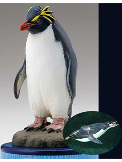 海洋堂 日本水族館立体生物図録 第2巻 アクア・トトぎふVer. イワトビペンギン