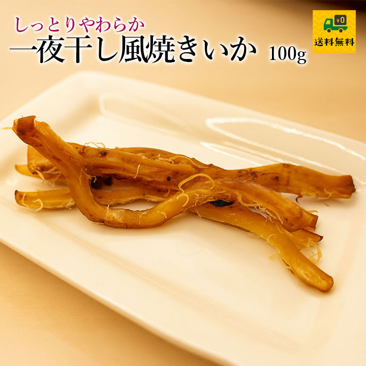 一夜干し風焼いか100g