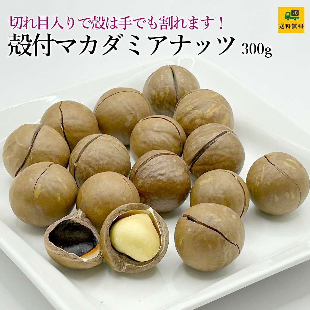 殻付マカダミアナッツ300g