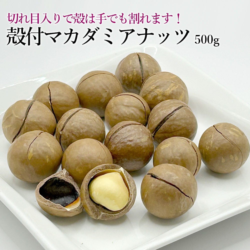 殻付マカダミアナッツ500g