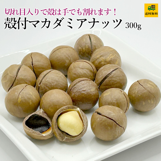 殻付マカダミアナッツ300g