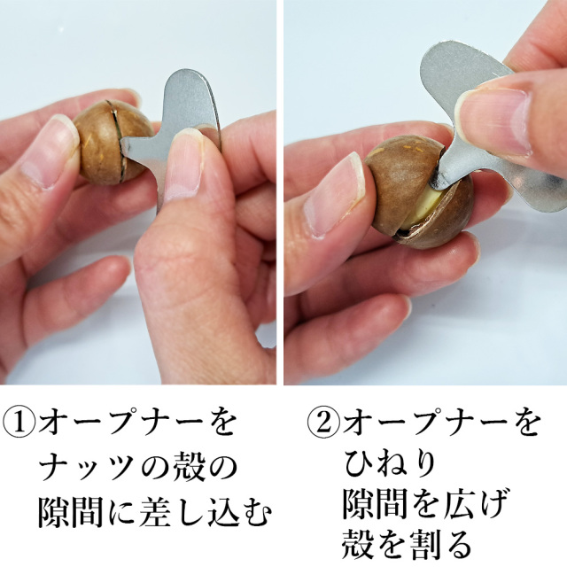 殻付マカダミアナッツ300g【送料当社負担メール便】