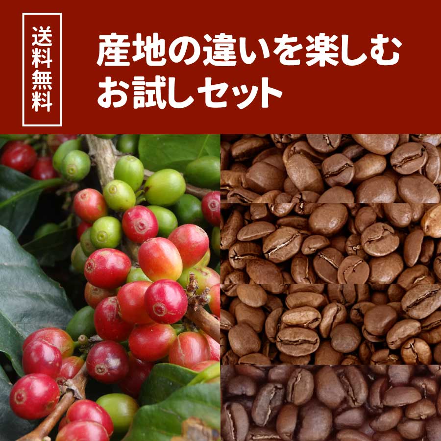 【送料無料】産地の違いを楽しむお試しセット  100ｇ×4種