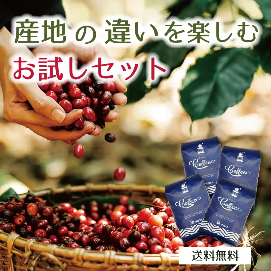 【送料無料】産地の違いを楽しむお試しセット  100ｇ×4種