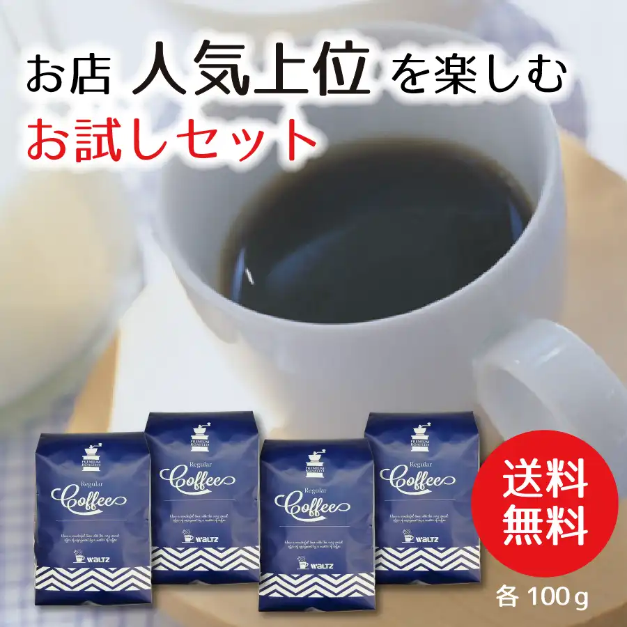 【送料無料】お店人気上位を楽しむお試しセット  100ｇ×4種