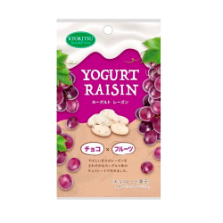 共立　ヨーグルトレーズン　40g