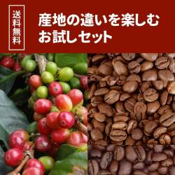 【送料無料】産地の違いを楽しむお試しセット  100ｇ×4種