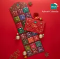 ディルマ　クリスマスアドベントカレンダー   2gx12種x2