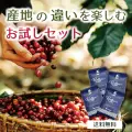【送料無料】産地の違いを楽しむお試しセット  100ｇ×4種