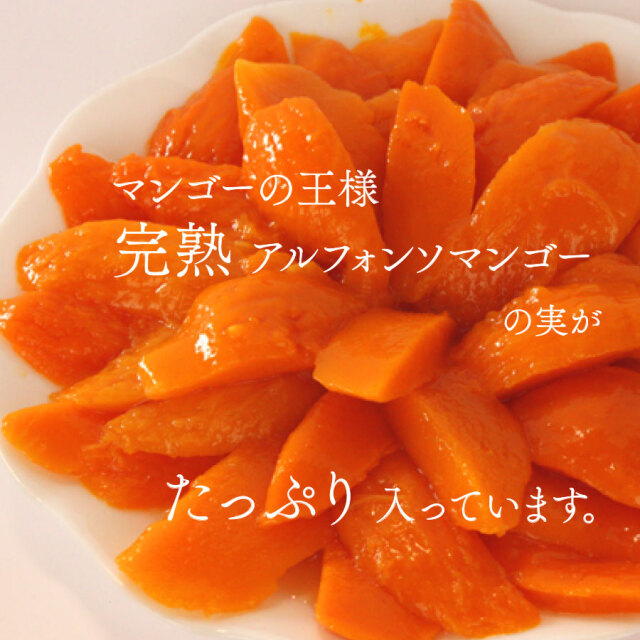 Vijay アルフォンソマンゴースライス｜シタール｜インドカレー