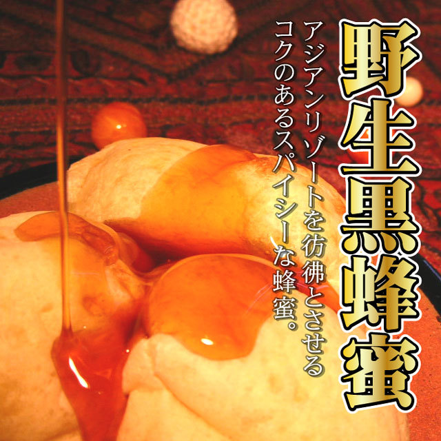【こっくり濃厚やみつき】シタァール ハンティングハニー 【野生黒蜂蜜 180g】 黒蜂蜜説明1