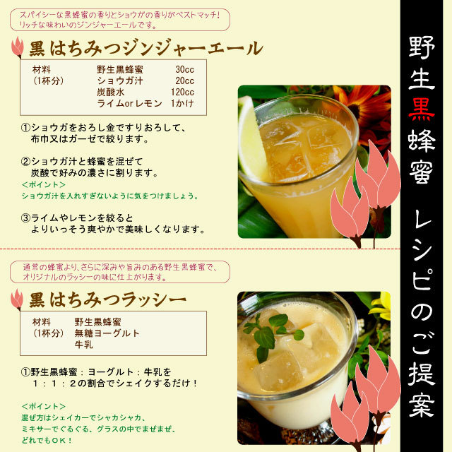 【こっくり濃厚やみつき】シタァール ハンティングハニー 【野生黒蜂蜜 180g】 野生黒蜂蜜説明8