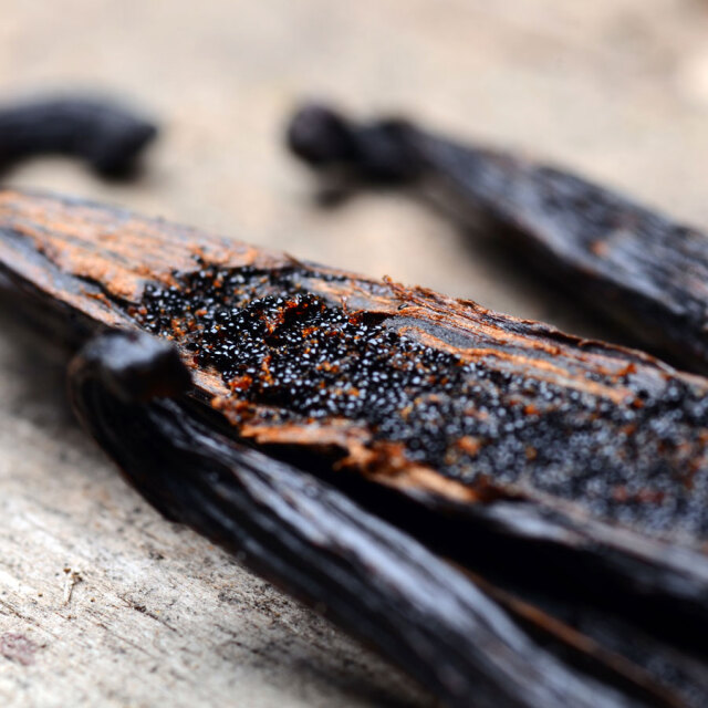 インド産 バニラビーンズ