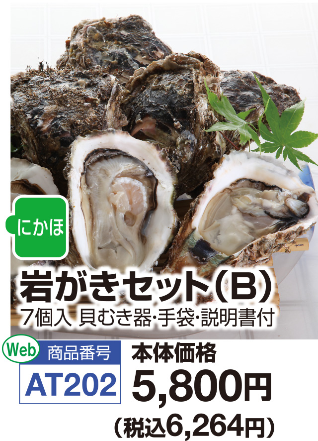 岩がきセットB