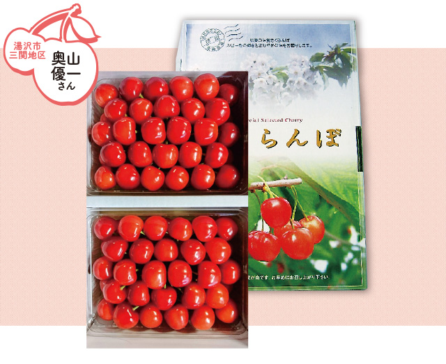 湯沢市三関地区 奥山優一さんの佐藤錦 特秀・L～2Lサイズ　約４００ｇ×２パック（バラ詰め）