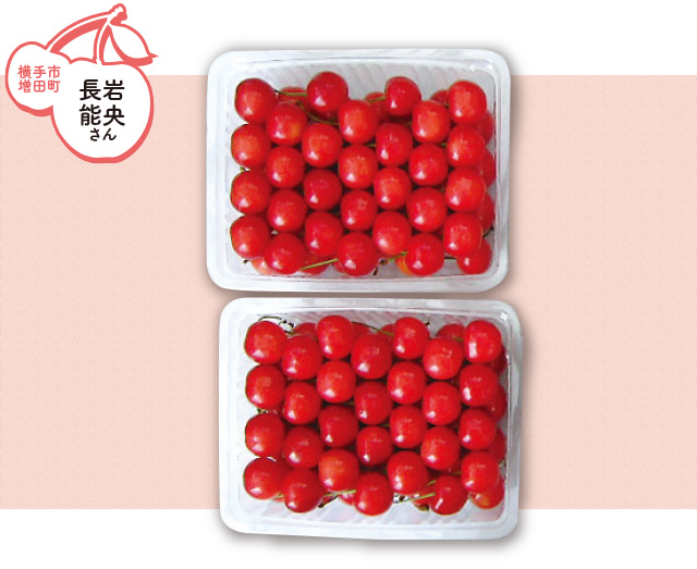 横手市増田町 長岩能央さんの紅秀峰 特秀・L～2Lサイズ　約４００g×2パック（手詰め)
