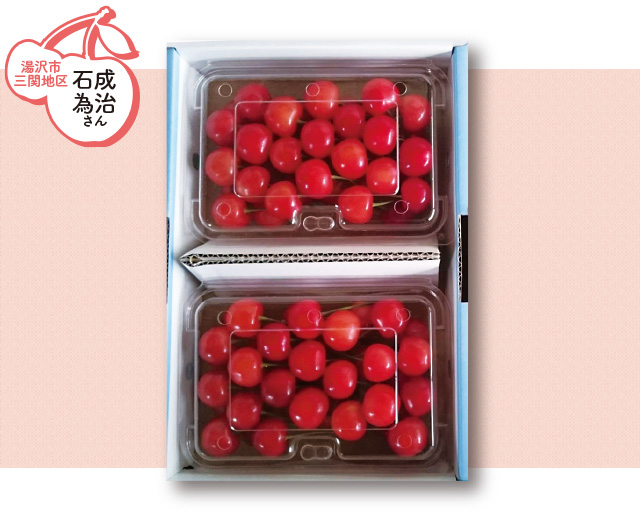 湯沢市三関地区 石成為治さんの佐藤錦 秀・2Lサイズ　約５００ｇ×2パック（手詰め）