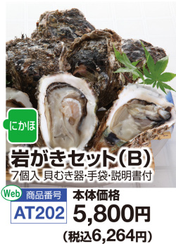 岩がきセットB